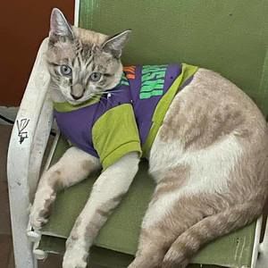 Meet your Posher, Laura